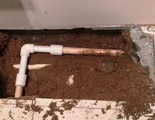 白沟县测漏水哪家好