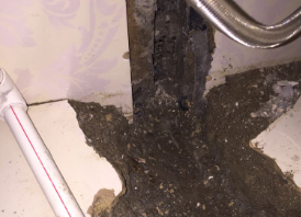 白沟县卫生间测漏水哪家好