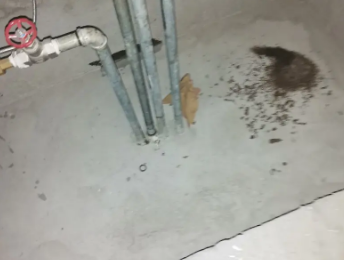 白沟县卫生间测漏水价格明细