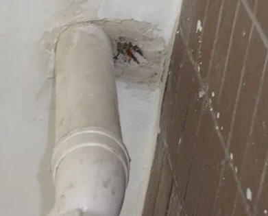 白沟县漏水检测哪家好